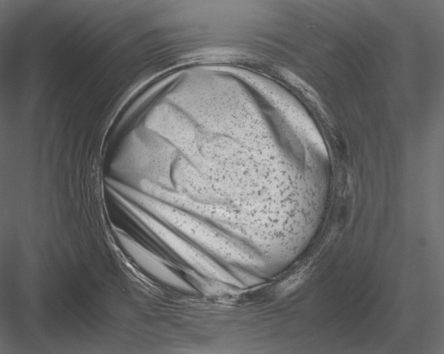 X0000082991473200702230047