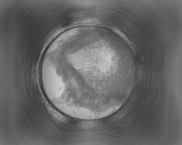 X0000082991474200702230047