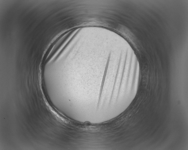 X0000082991476200702230047