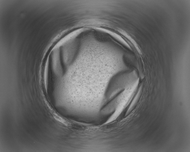 X0000082991477200702230047