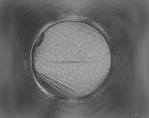 X0000082991479200702230047