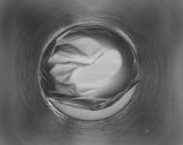 X0000082991485200702230047