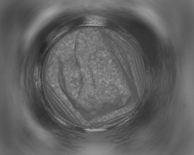 X0000082991487200702230047