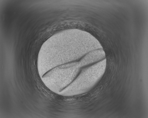 X0000082991489200702230046