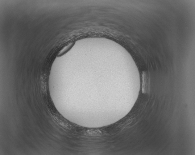 X0000082991491200702230046