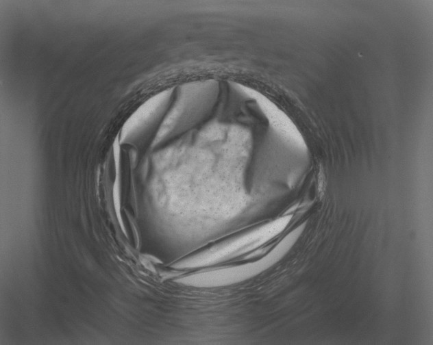 X0000082991492200702230046