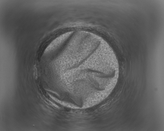 X0000082991493200702230046