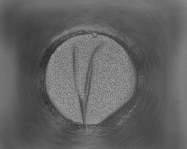 X0000082991494200702230046