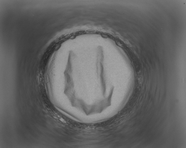 X0000082991495200702230046