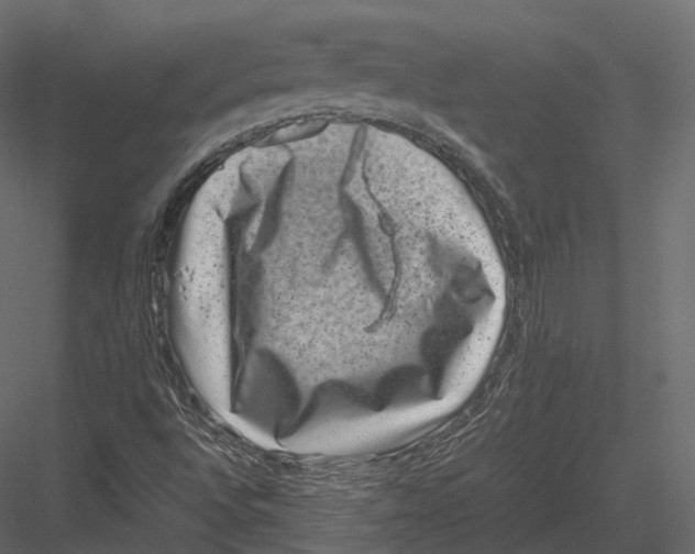 X0000082991496200702230046