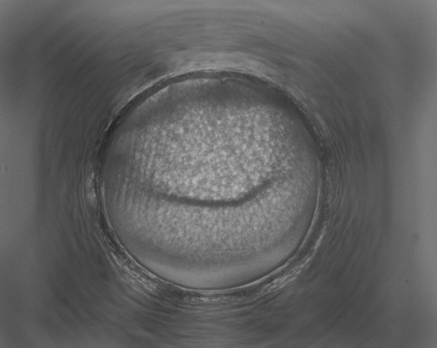 X0000082991497200702230046