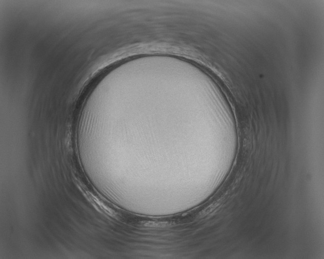 X0000082991499200702230046