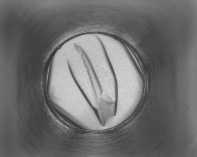 X0000082991500200702230046