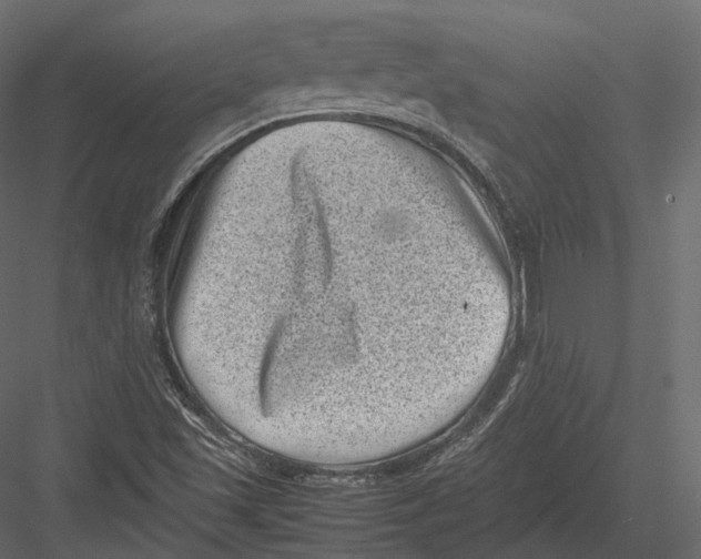 X0000082991501200702230046