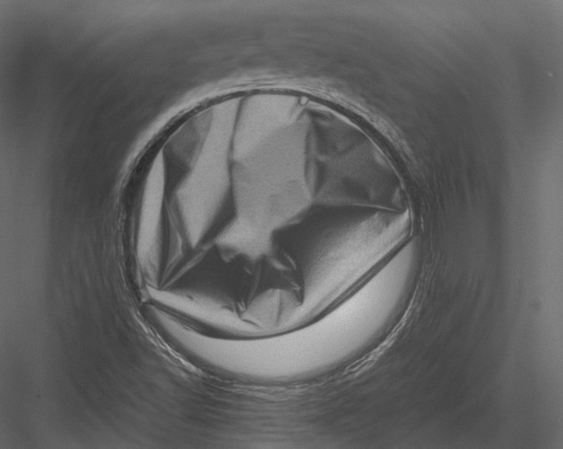 X0000082991502200702230046