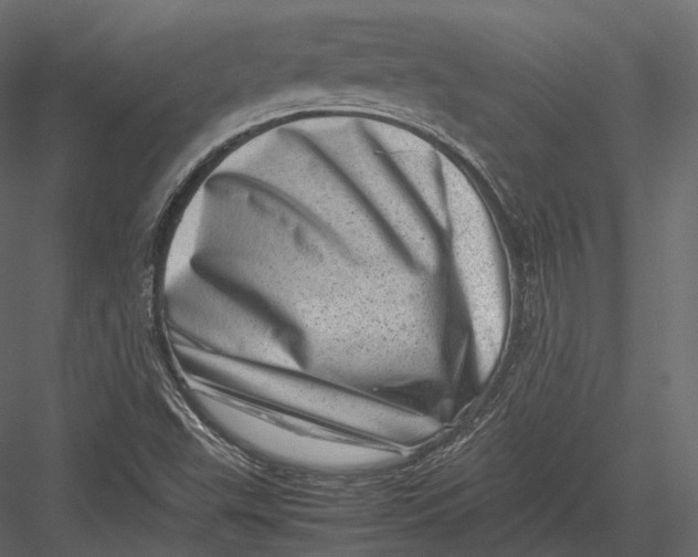 X0000082991503200702230046