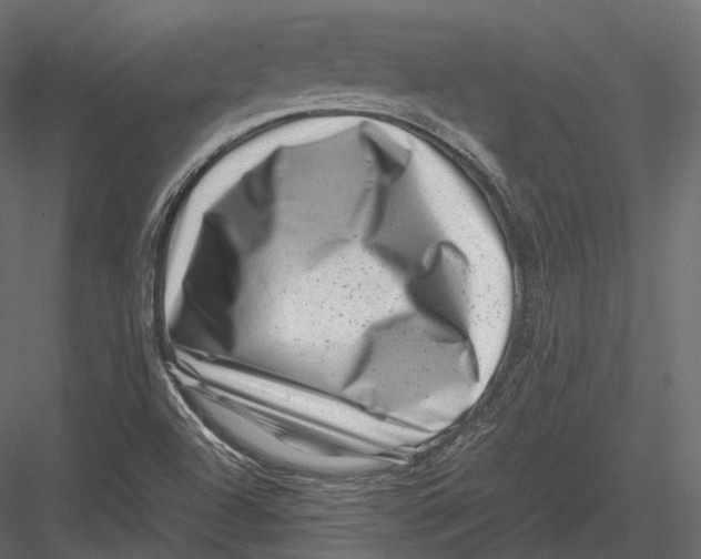 X0000082991504200702230046