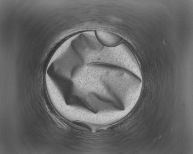 X0000082991507200702230046