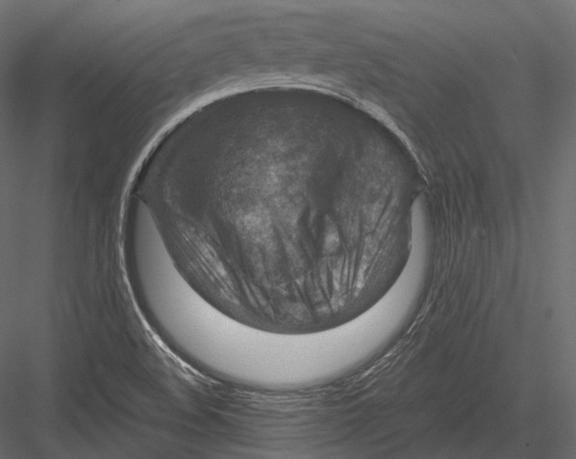 X0000082991508200702230046