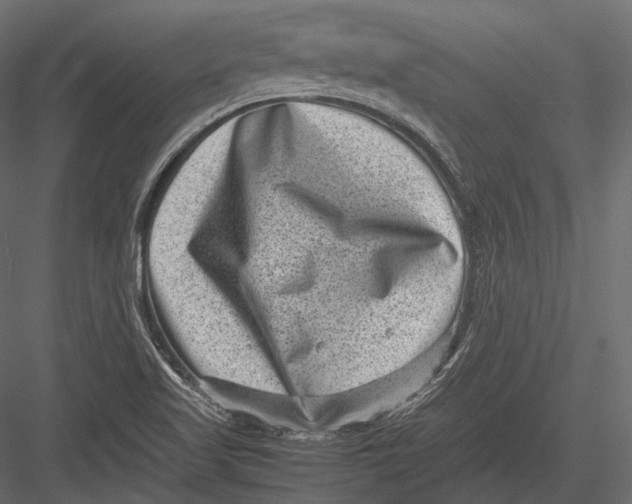 X0000082991509200702230046