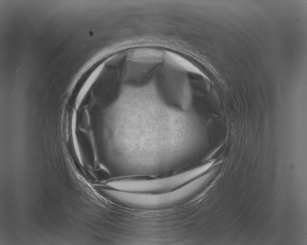 X0000082991510200702230046