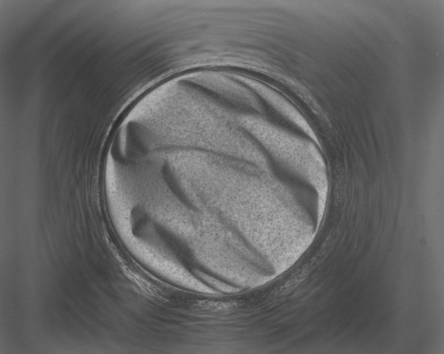 X0000082991513200702230046