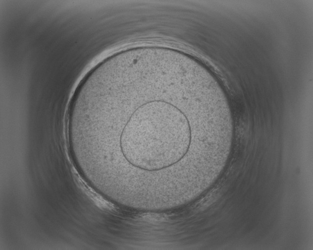 X0000082991514200702230046