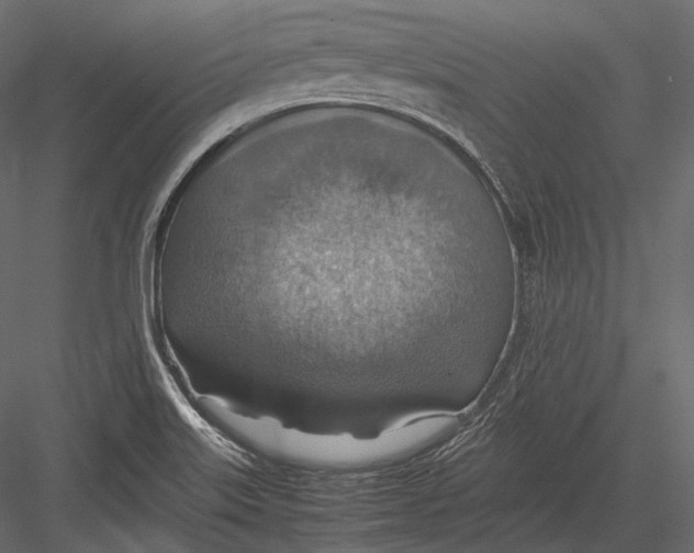 X0000082991515200702230046