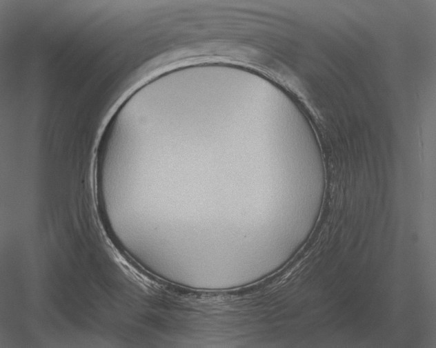 X0000082991516200702230046