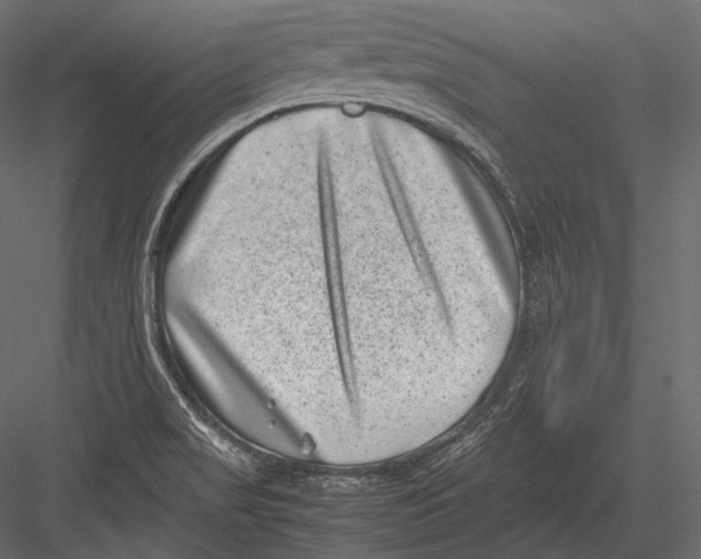 X0000082991517200702230046