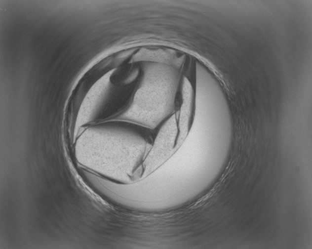 X0000082991518200702230046