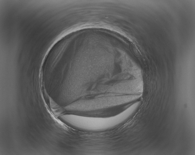 X0000082991519200702230046