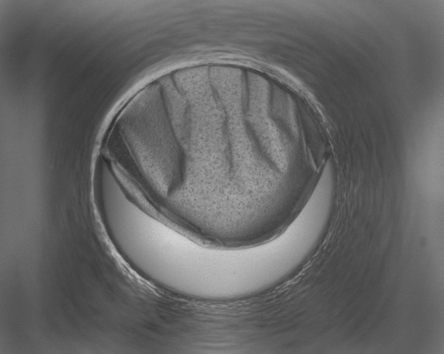 X0000082991520200702230046