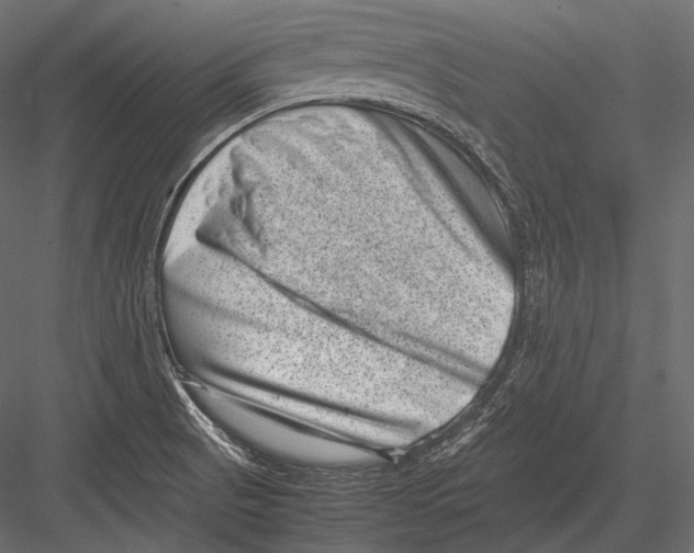 X0000082991521200702230046