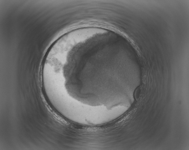 X0000082991522200702230046