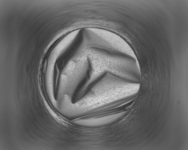 X0000082991523200702230046