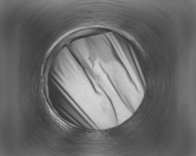 X0000082991524200702230046