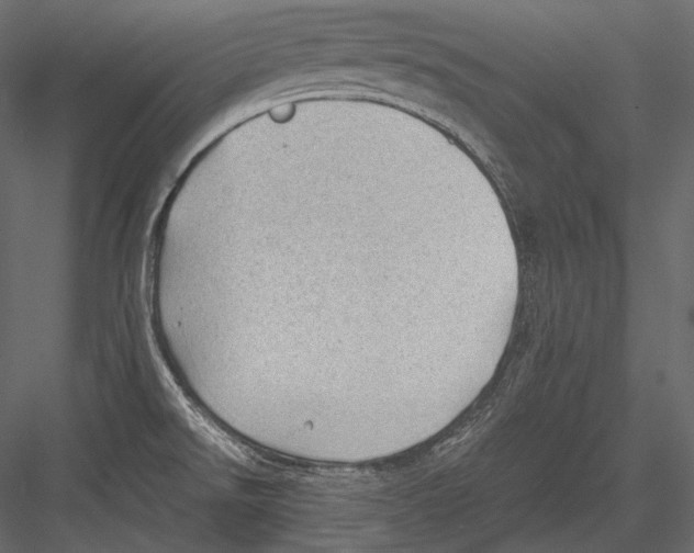 X0000082991526200702230046