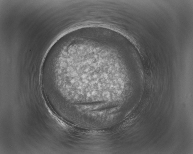 X0000082991527200702230046