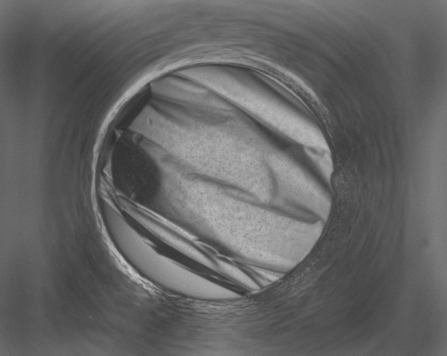 X0000082991528200702230046