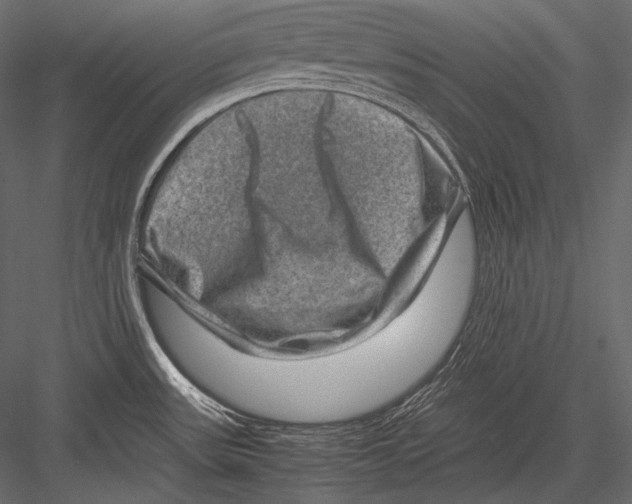 X0000082991531200702230046