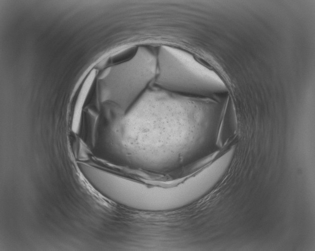 X0000082991532200702230046