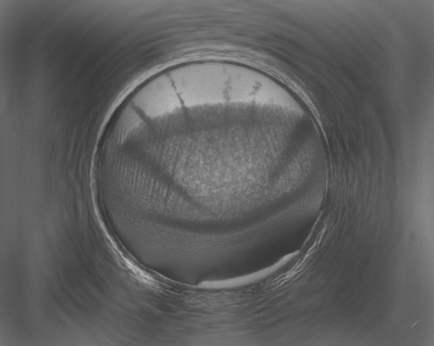 X0000082991533200702230047