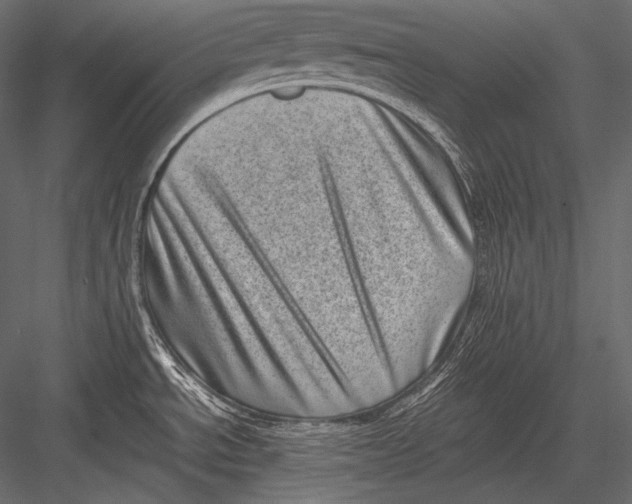 X0000082991534200702230047