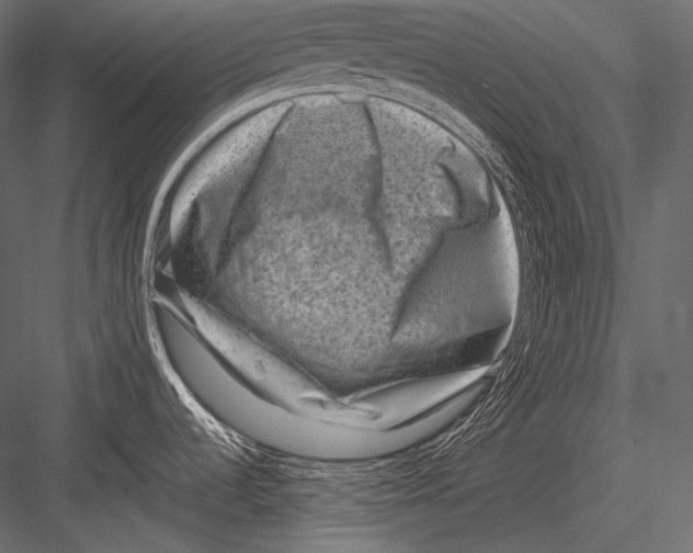 X0000082991536200702230047