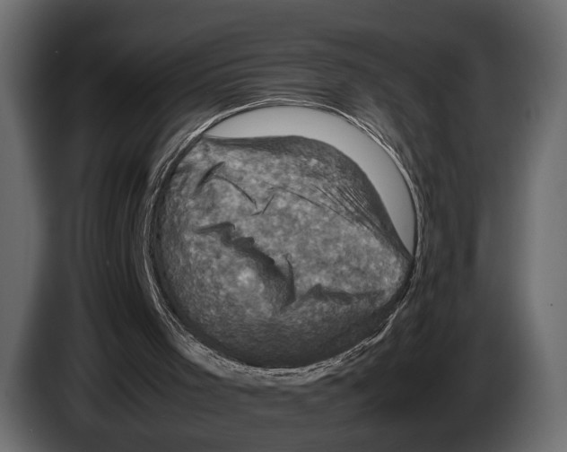 X0000082990001200703020853