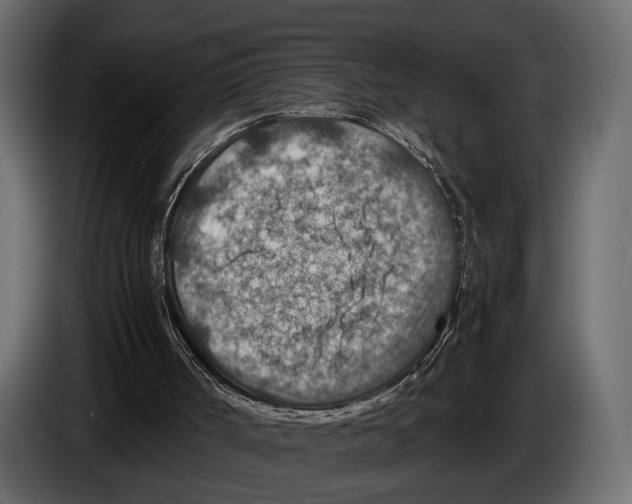 X0000082990002200703020853