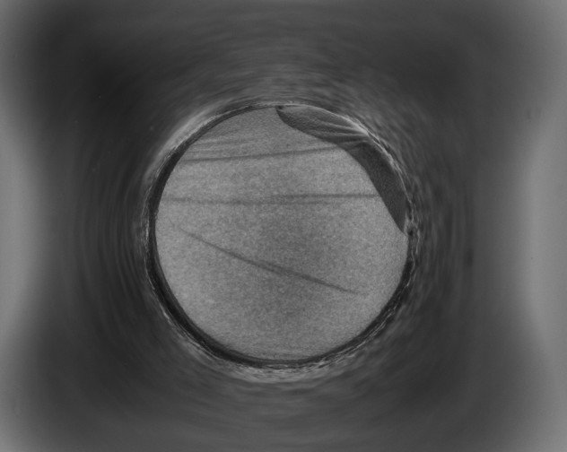 X0000082990005200703020853