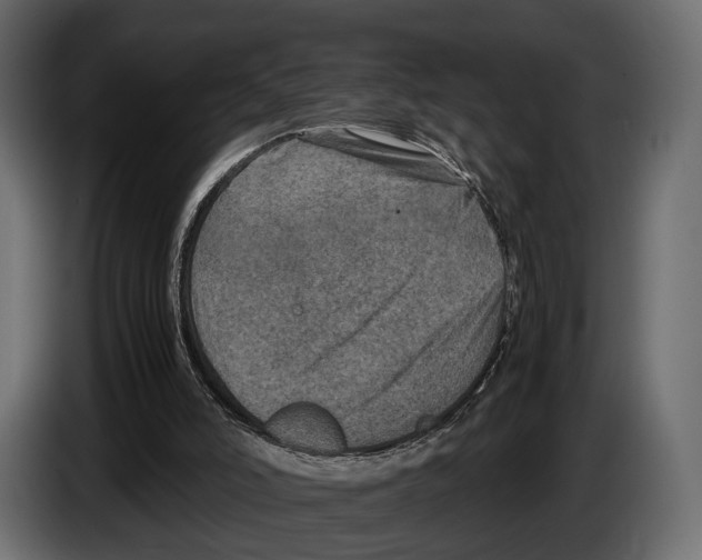 X0000082990006200703020853