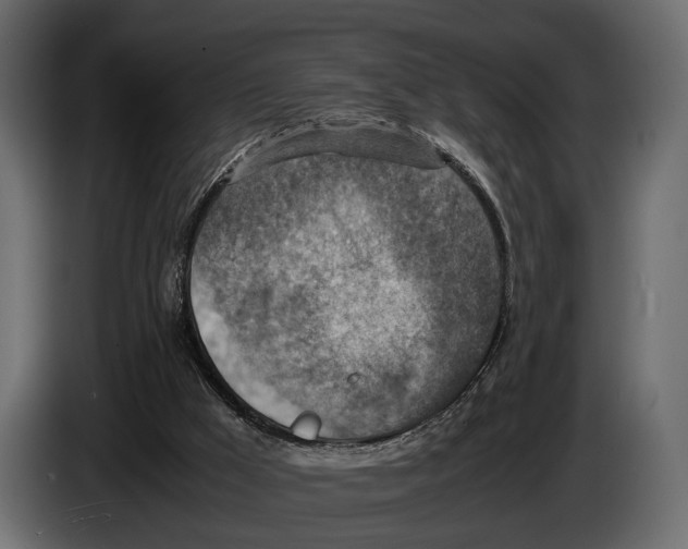 X0000082990009200703020853